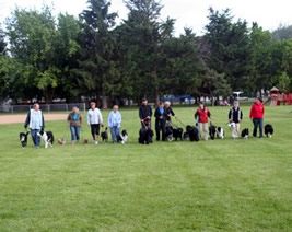 The CODAC crew at the Dog 'o' Pogo Agility Trial